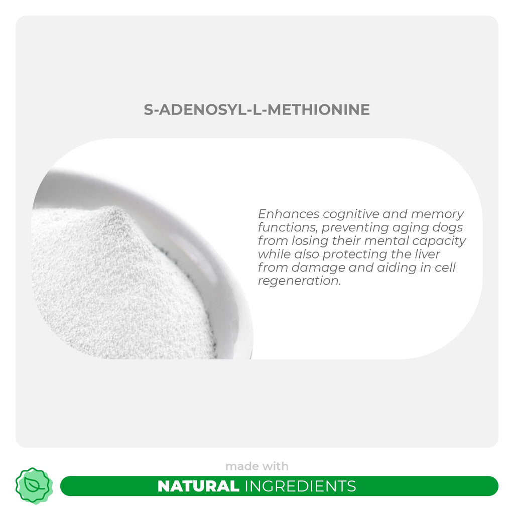 Milk Thistle and S-Adenosyl-L-Methionine Bundle Y882
