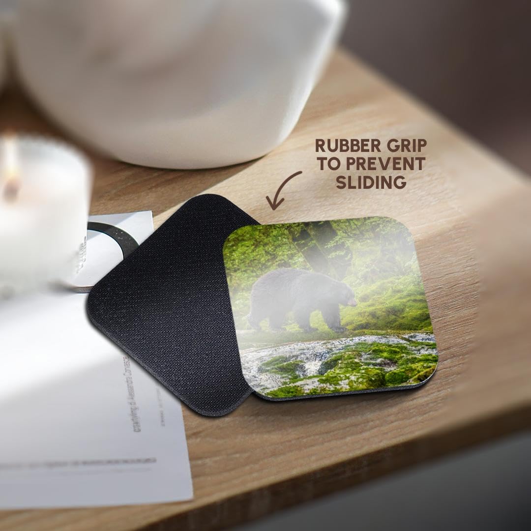 Set of 8 Coasters Q538948