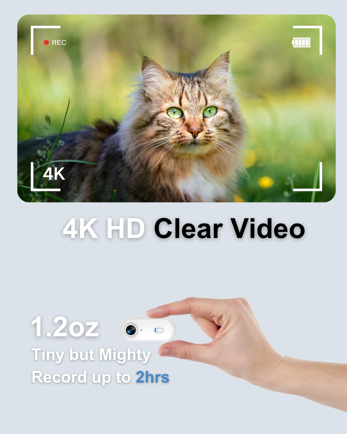 Cat Camera Collar with APP V31337