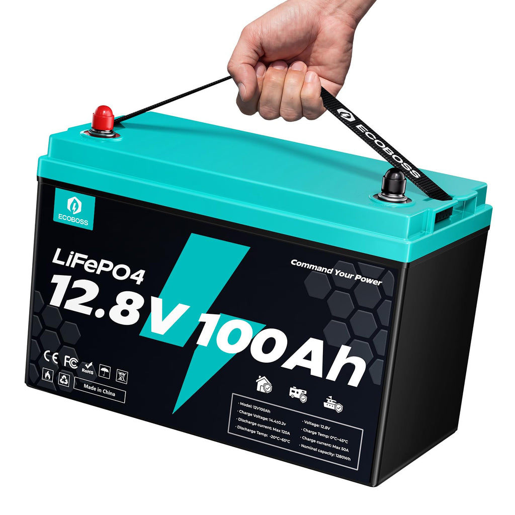 12V 100Ah LiFePO4 Deep Cycle Lithium Battery J821131