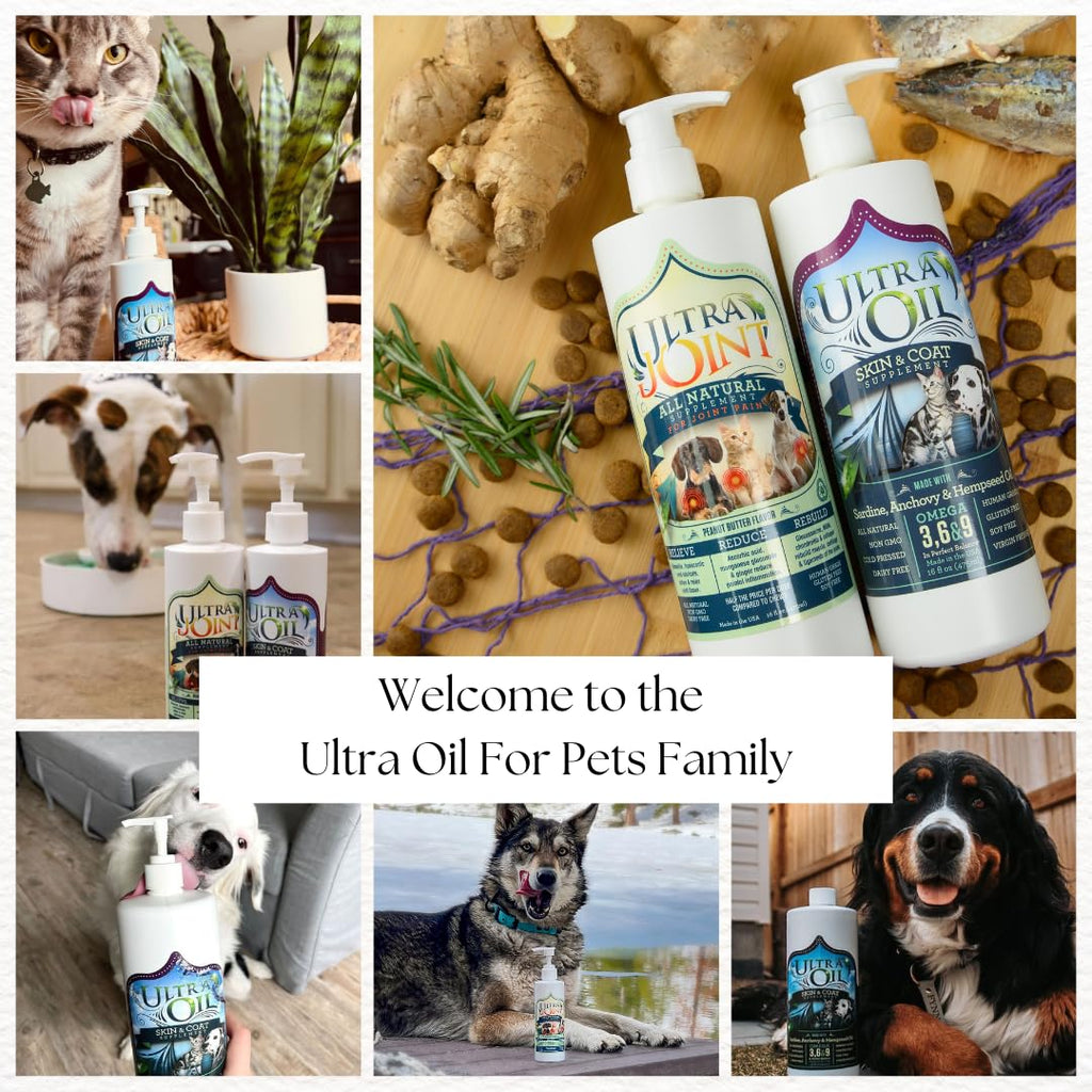 Liquid Joint Support Supplement for Dogs 32 oz H9376
