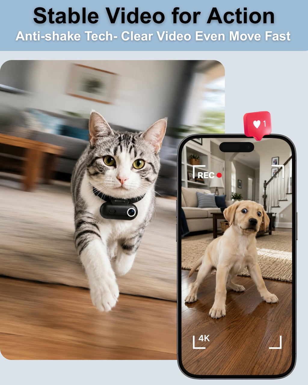 Cat Camera Collar with APP V31337
