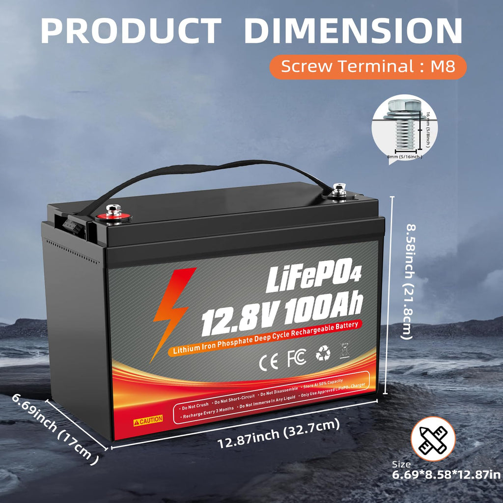 12V 100Ah LiFePO4 Battery A10923