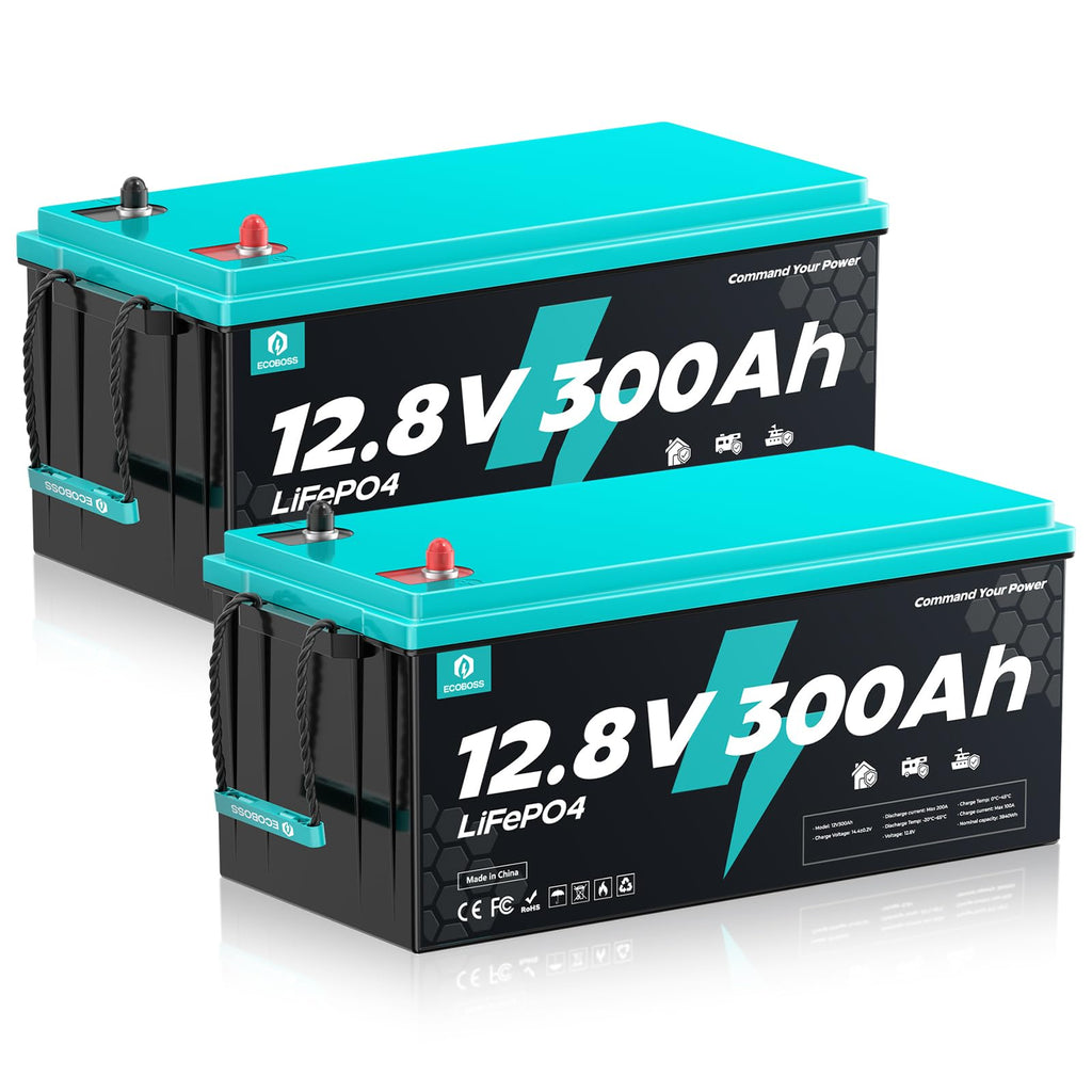 12V 300Ah LiFePO4 Deep Cycle Lithium Battery 2Pack W4714