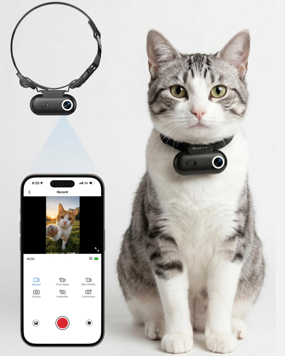 Cat Camera Collar with APP V31337