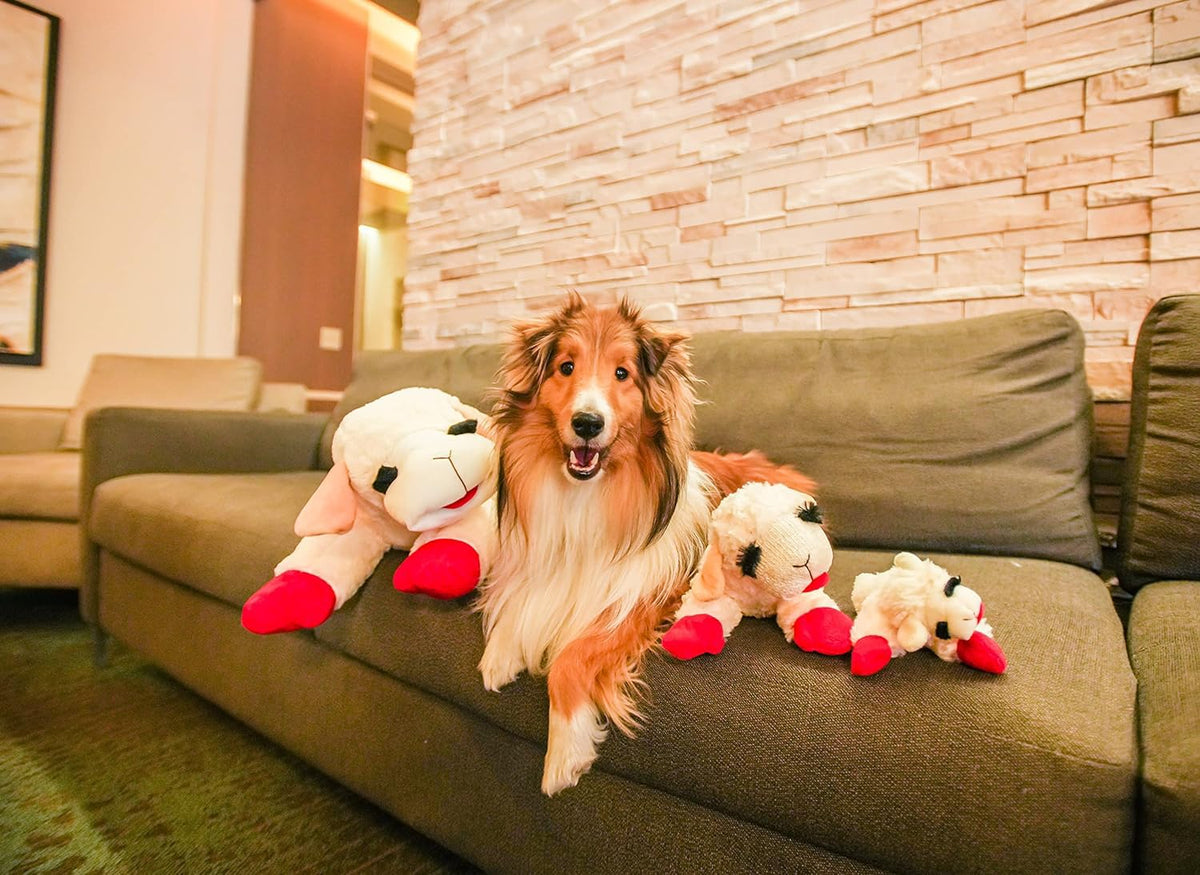 White Plush Dog Toy with Squeaker Q6406