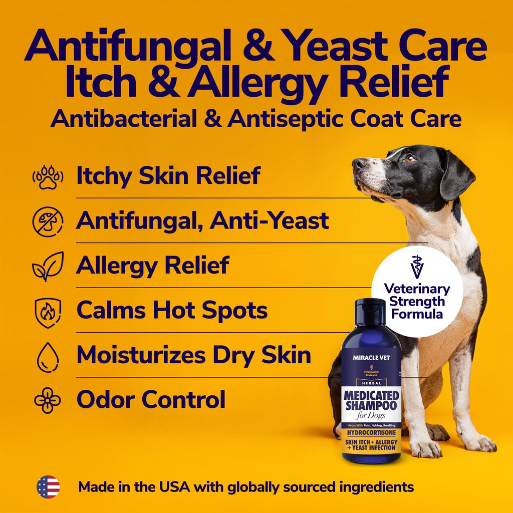 Medicated Dog Shampoo 8 fl oz Z83657