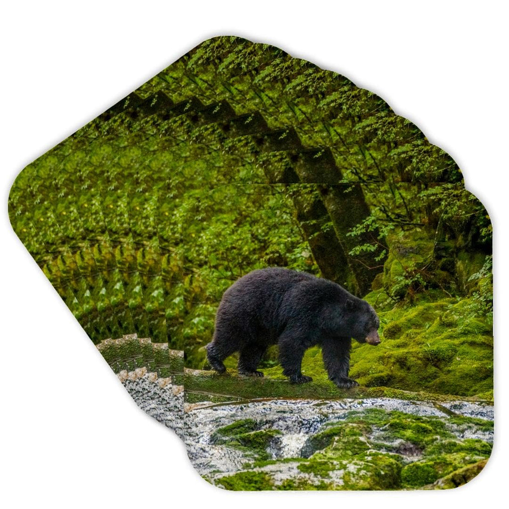 Set of 8 Coasters Q538948