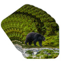 Set of 8 Coasters Q538948