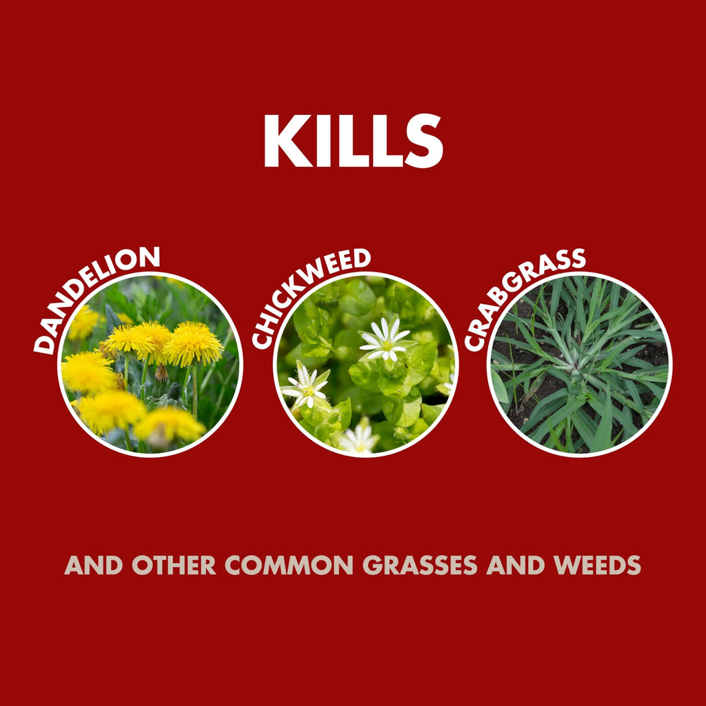 Weed and Grass Killer Concentrate 32 Oz M5146