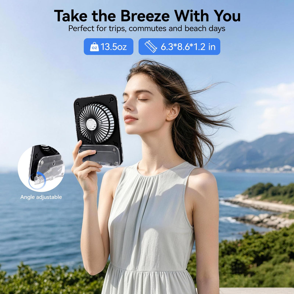 8.6 Inch Rechargeable Portable Desk Fan S281