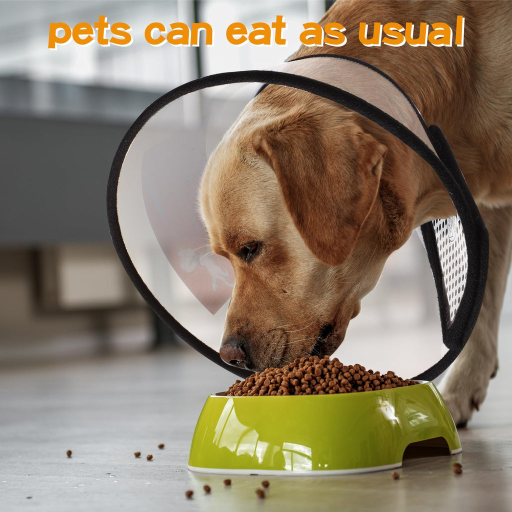 9 Pcs Adjustable Soft Dog Cone Collar Set X317695