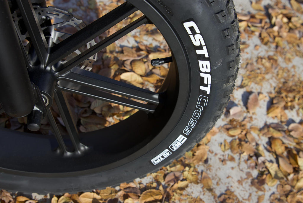 1000W Electric Bike 20" Fat Tire 7-Speed Z595459
