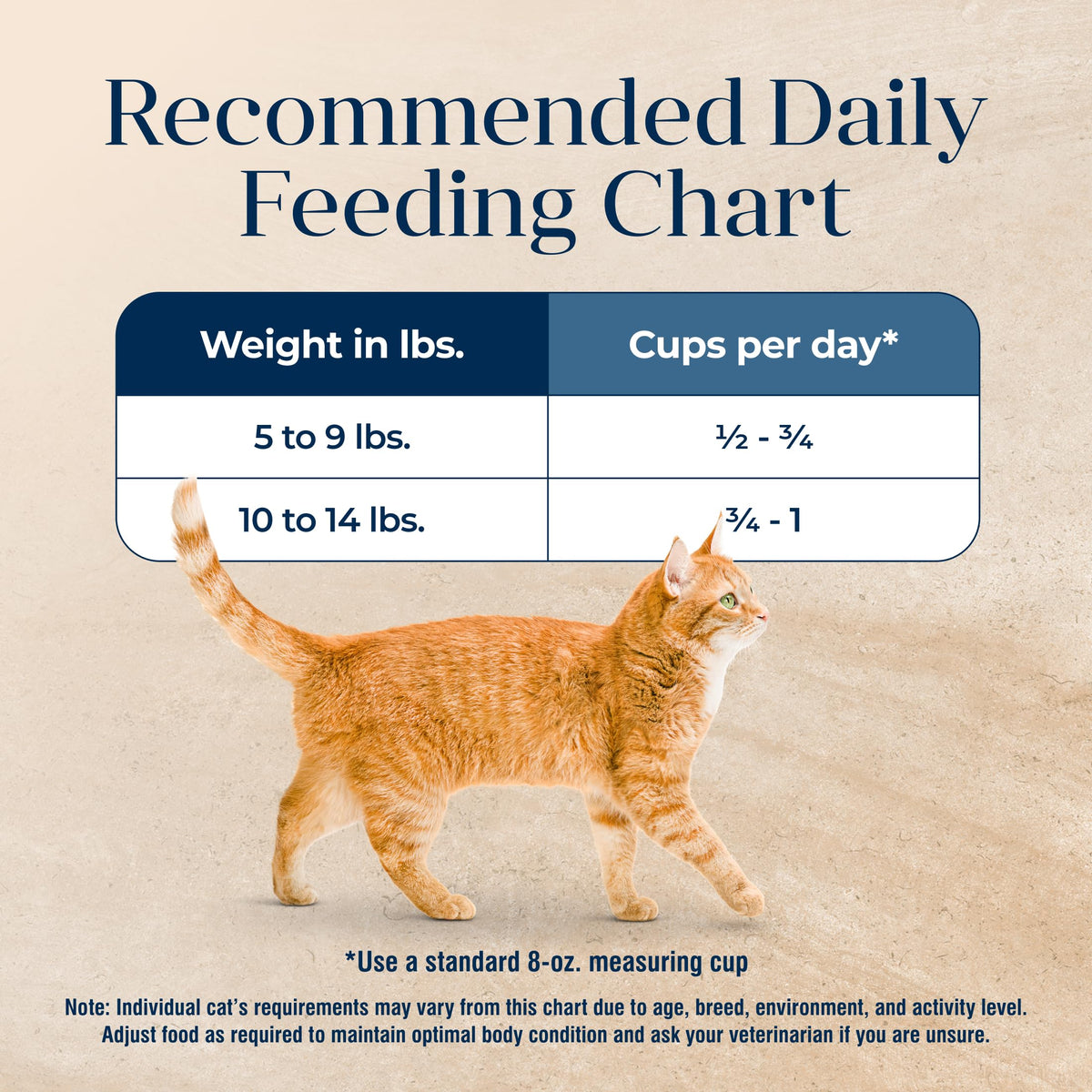 Whitefish Grain-Free Dry Cat Food 5 lb X99316