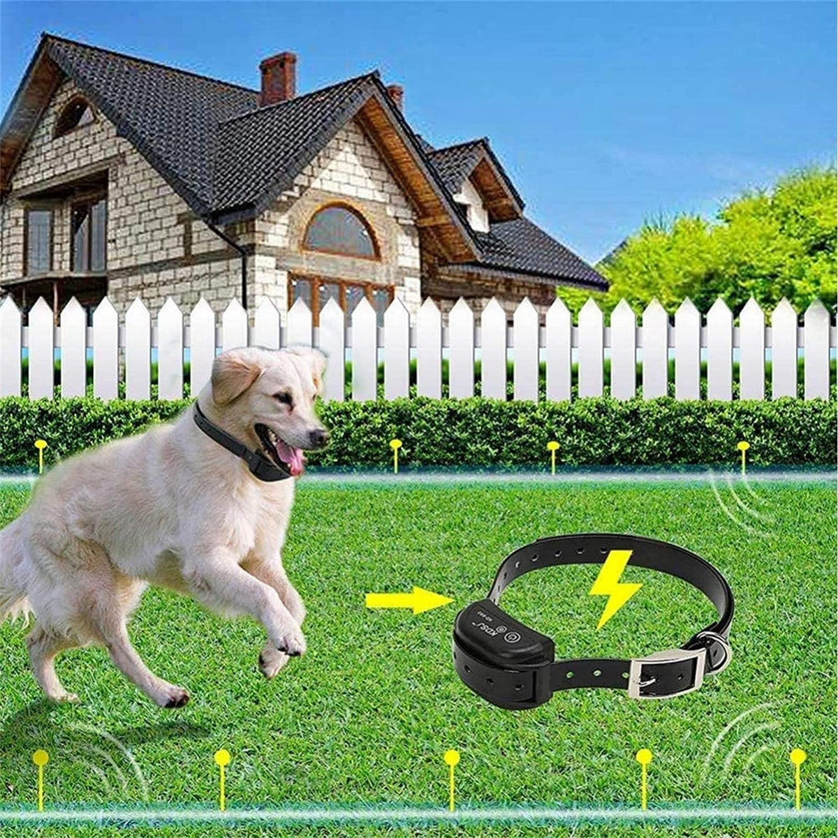 In-Ground Electric Dog Fence up to 1/2 Acre B38235