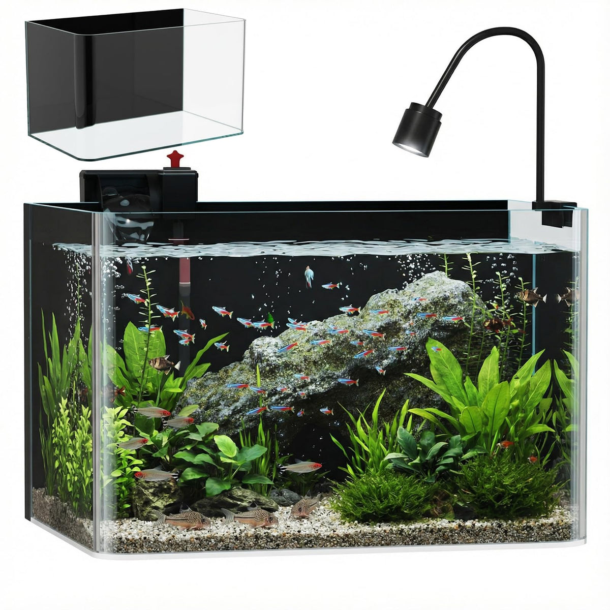 10 Gallon Black-Back Aquarium Fish Tank J182575