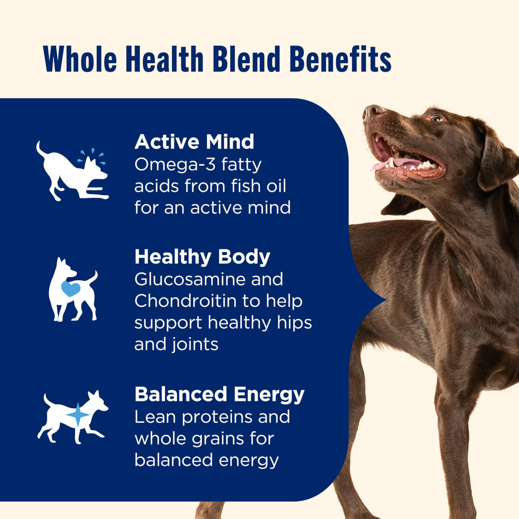 Large Breed Dry Dog Food with Beef 40 lb Bag H814