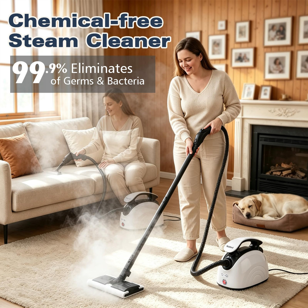 4.5 Bar 300°F Steam Cleaner X753