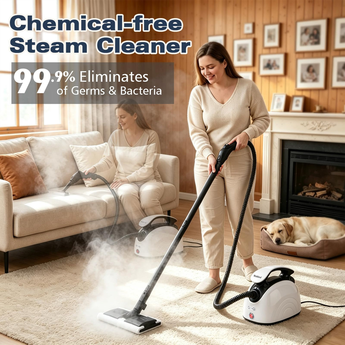 4.5 Bar 300°F Steam Cleaner X753