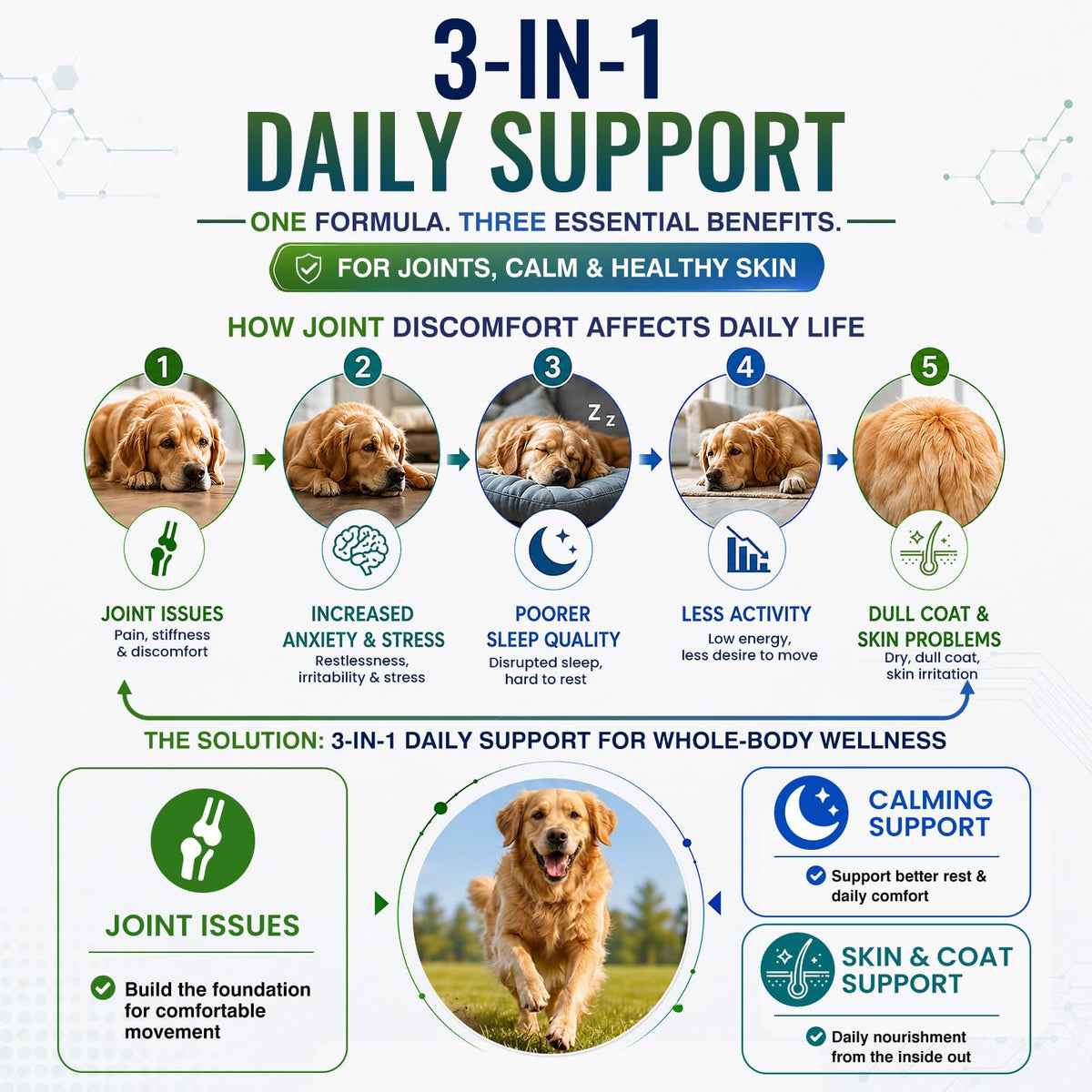 Hip and Joint Supplement for Dogs 200ct Q3368