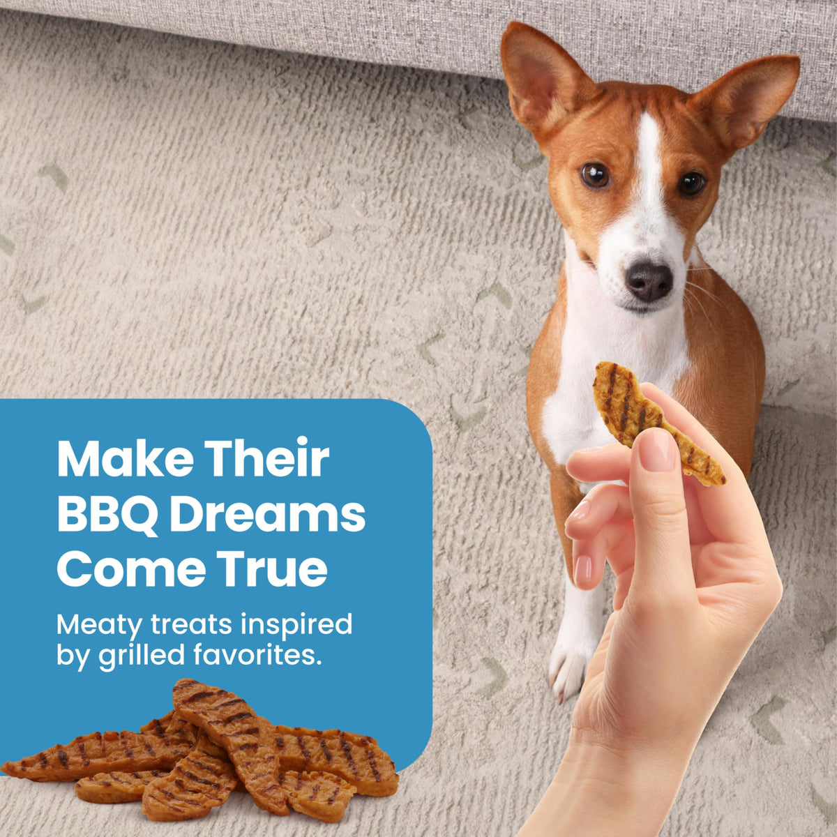 Chicken Dog Treats 16 oz T767682