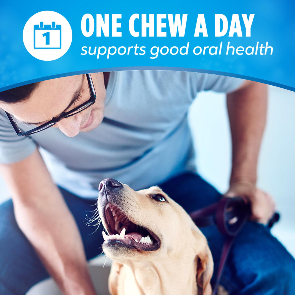 Daily Dental Chews for Large Dogs, 18 ct P9564
