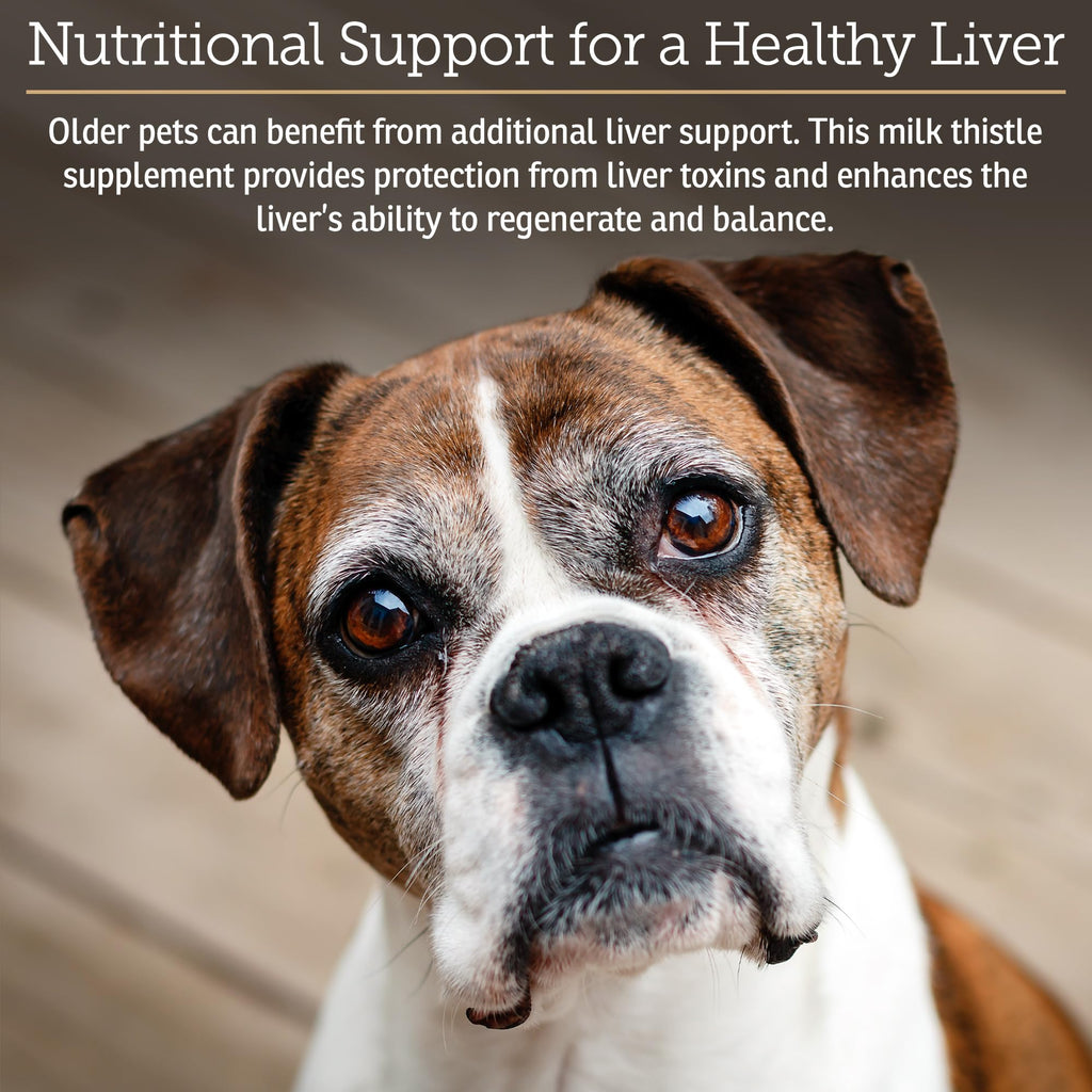 Liver Supplement 180ct N656
