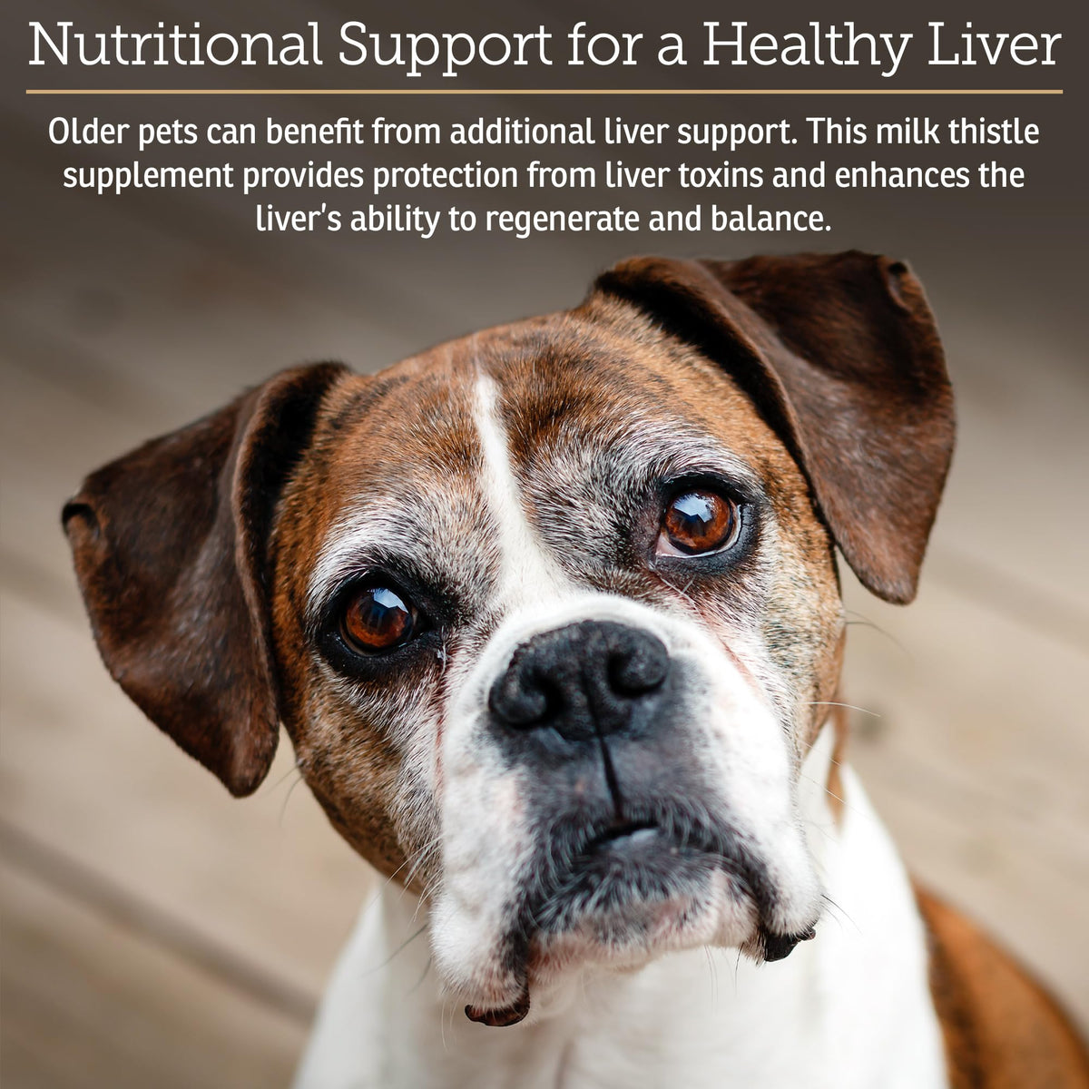 Liver Supplement 180ct N656