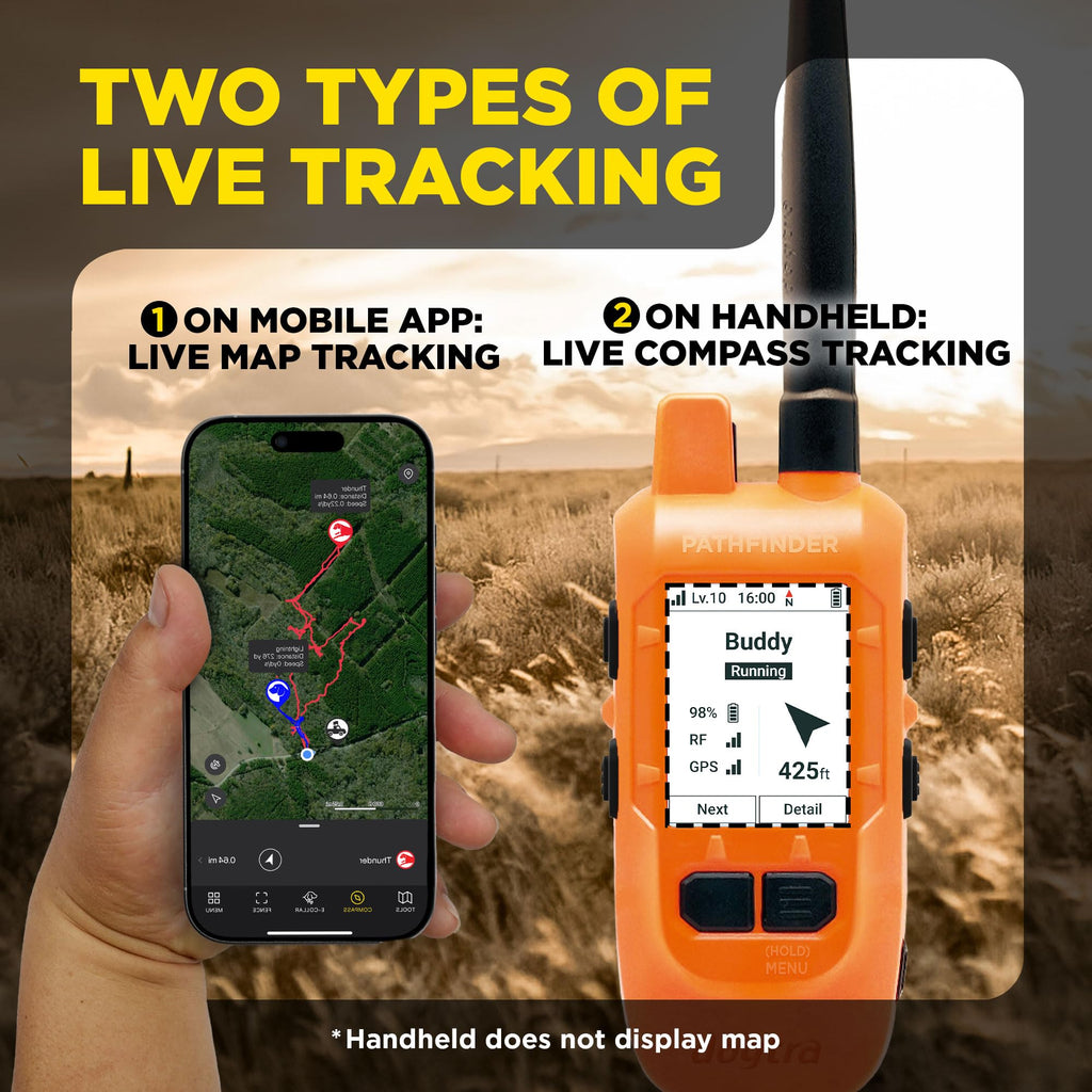 GPS Dog Tracking and Training System Q730