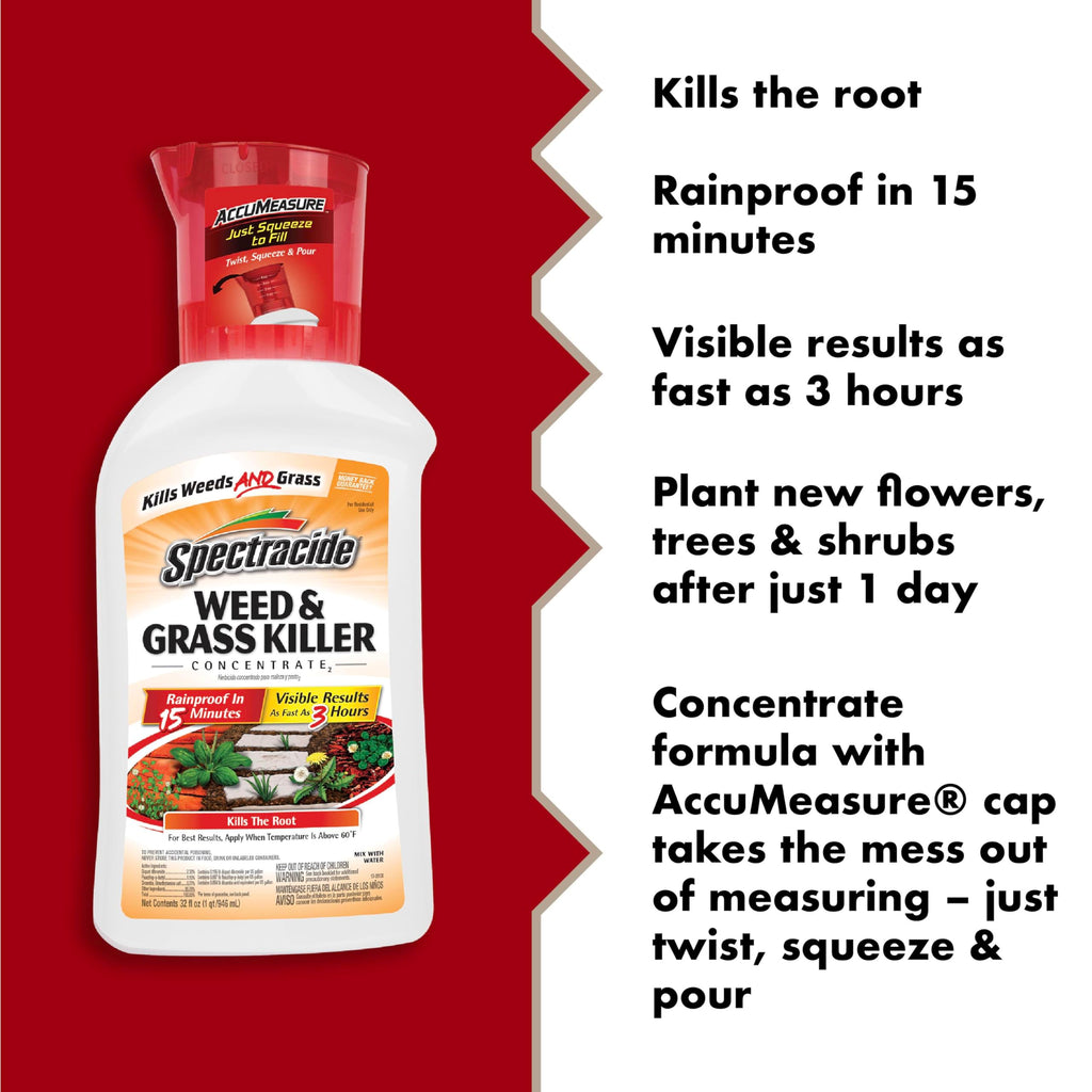 Weed and Grass Killer Concentrate 32 Oz M5146