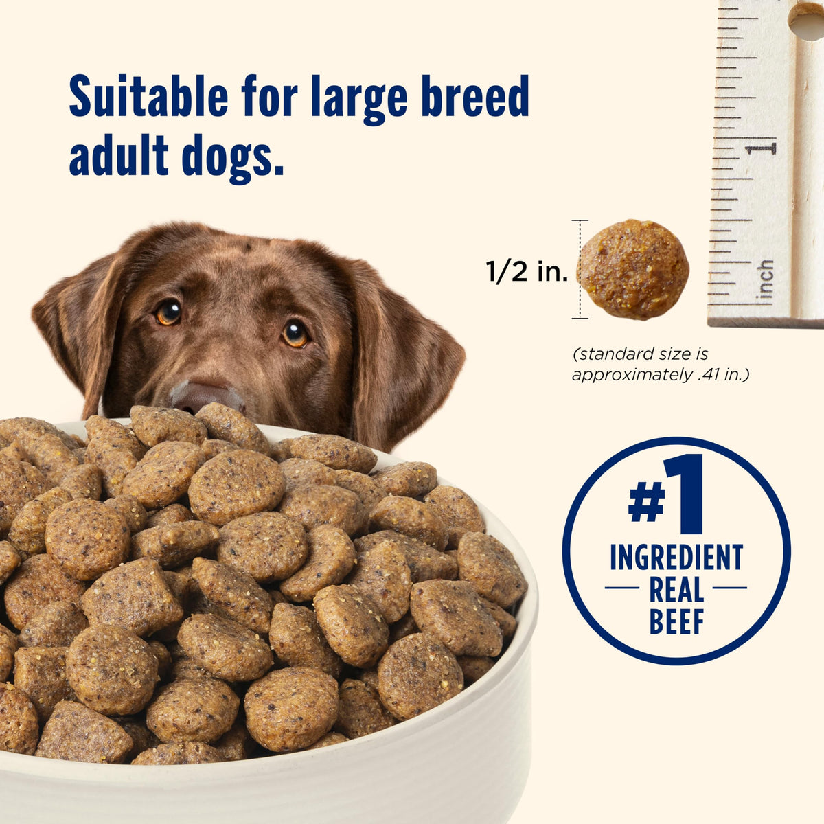 Large Breed Dry Dog Food with Beef 40 lb Bag H814