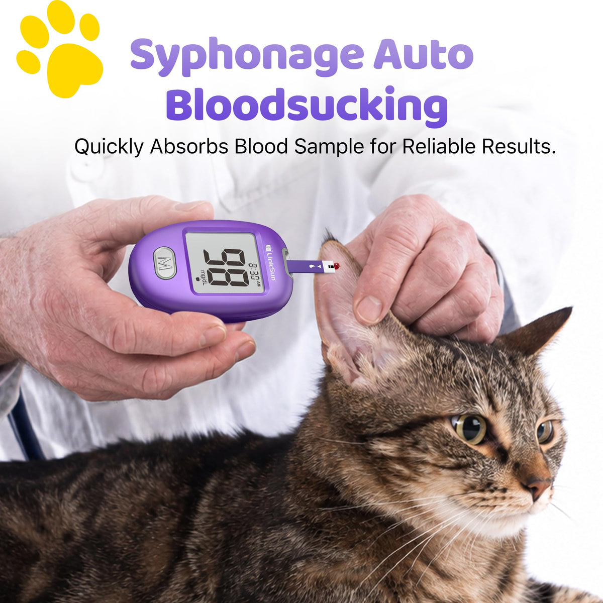 Pet Glucose Test Strip for Dogs & Cats, 100PCS L85132