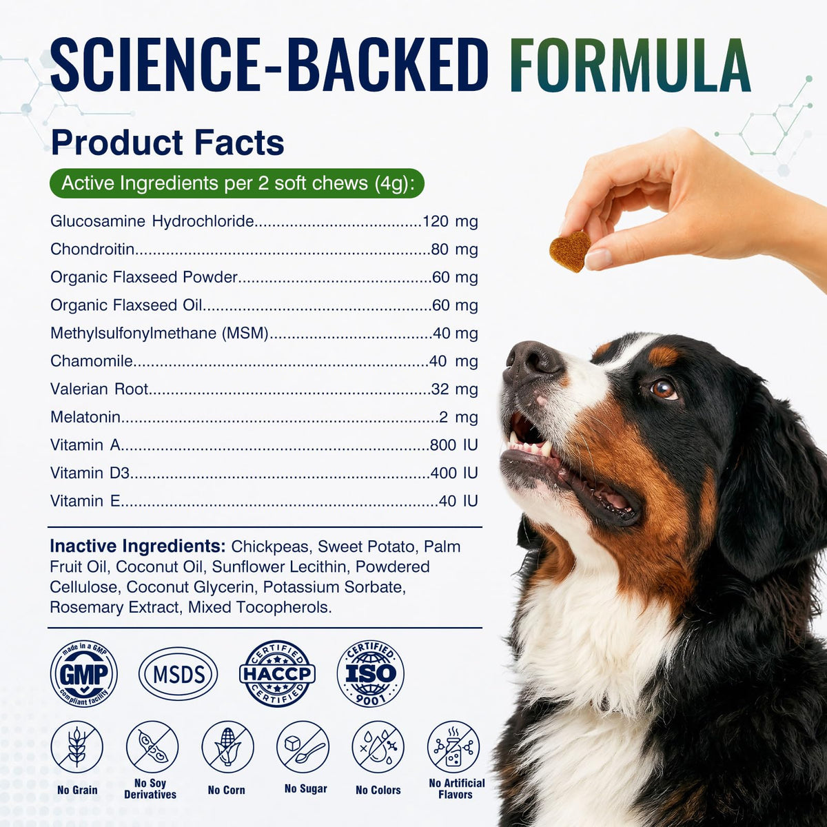 Hip and Joint Supplement for Dogs 200ct Q3368