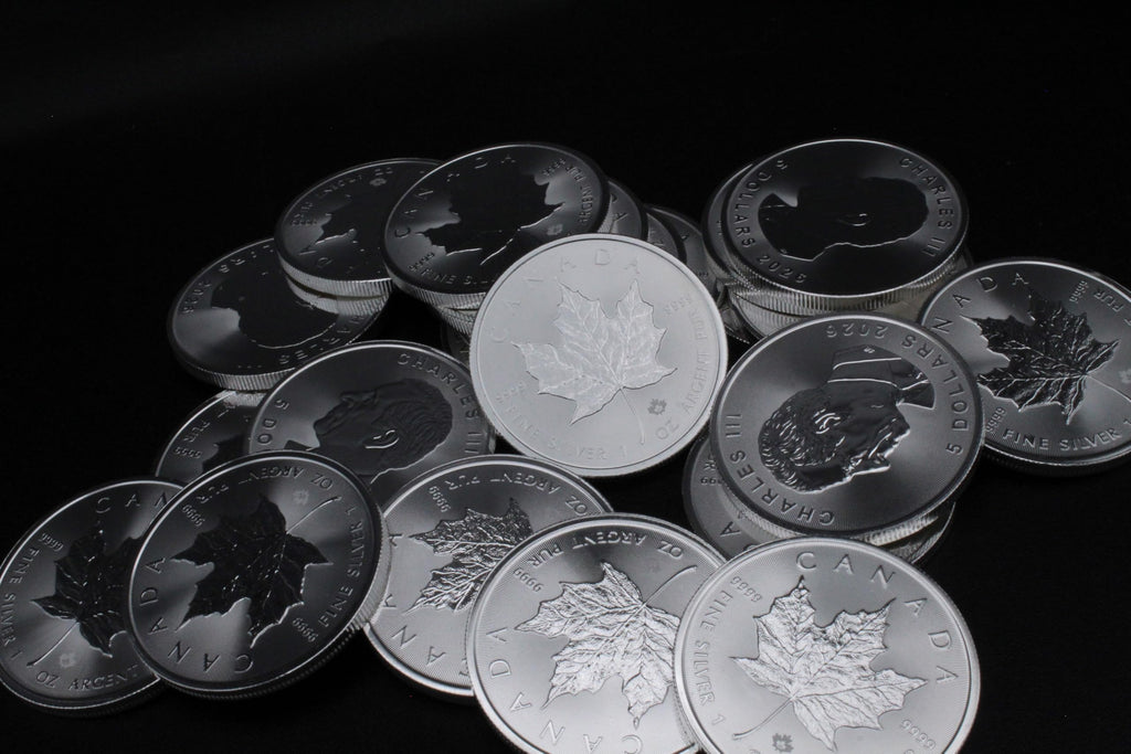 1 oz Canadian Maple Leaf Silver Coin E951