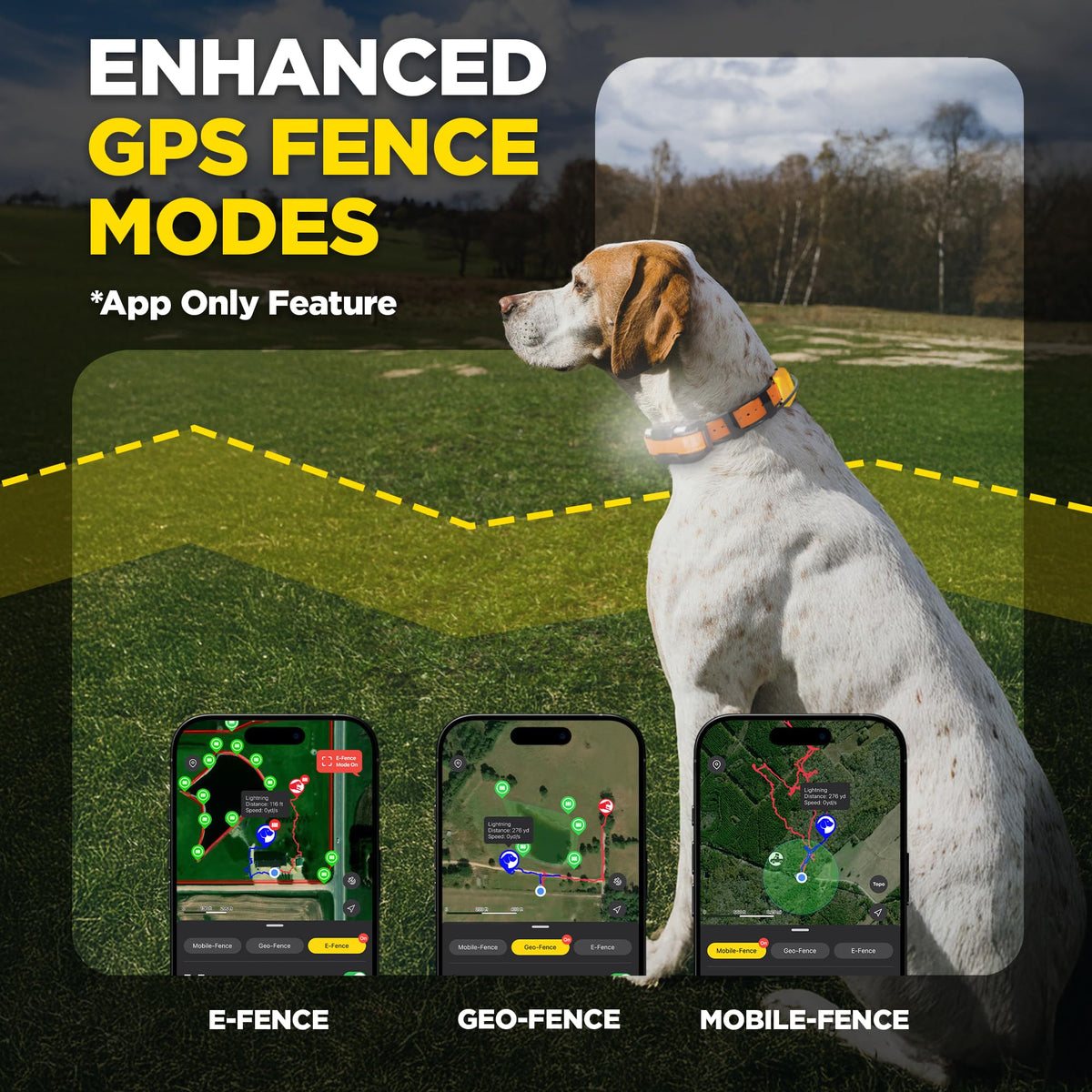 GPS Dog Tracking and Training System Q730
