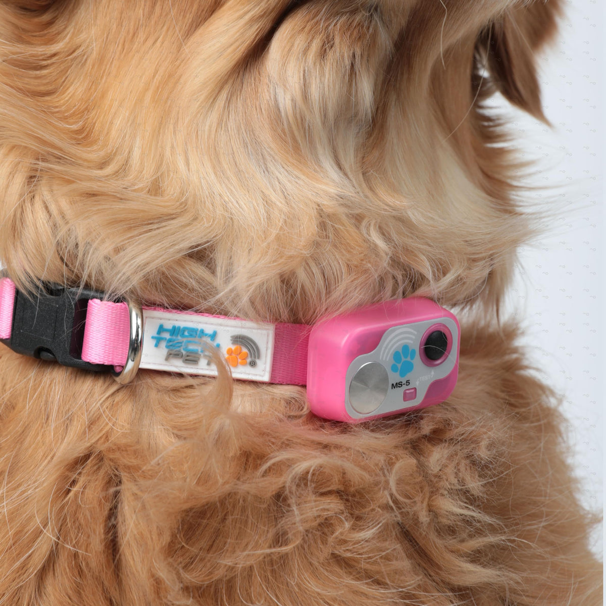 Automatic Pet Door L1757