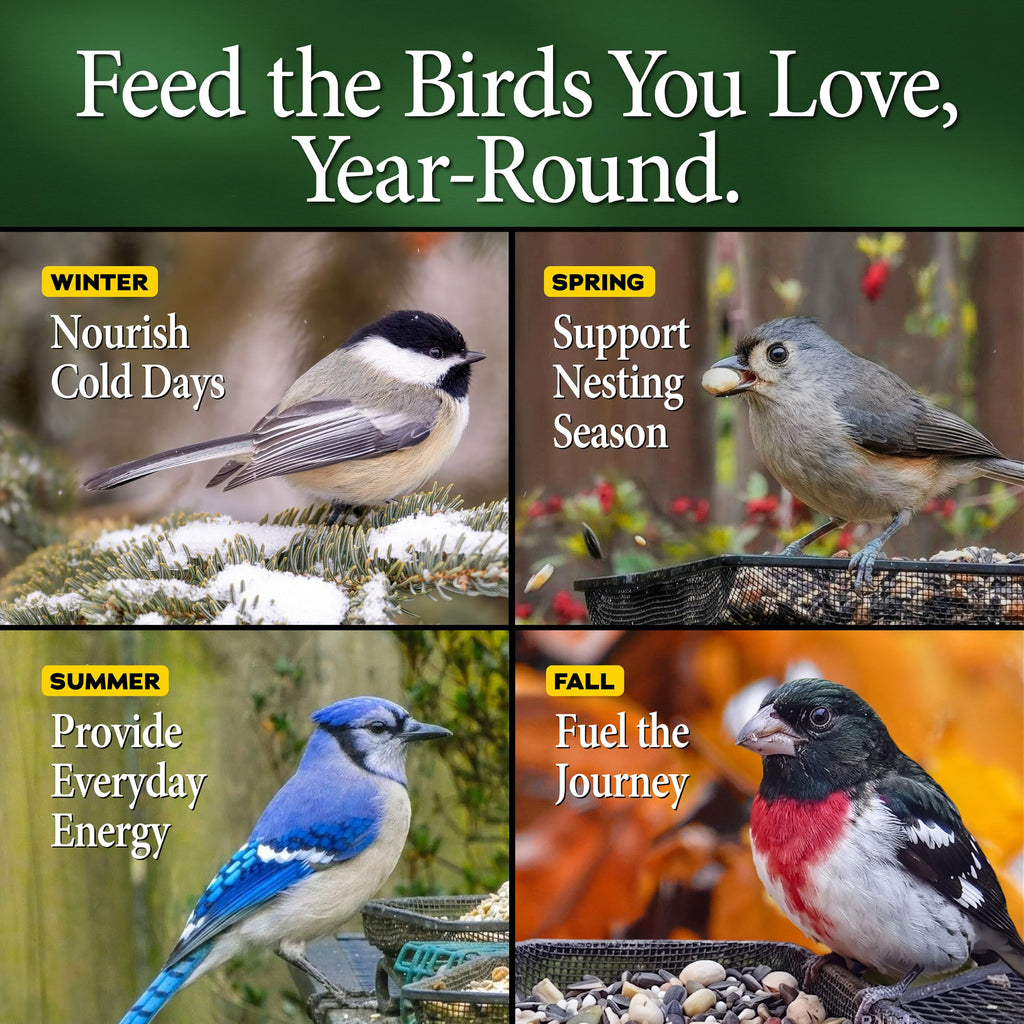 20 lb Nut N-Berry Birdfood M9925